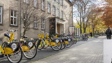Yellow bicycles in front of a TU Dresden building. Bottom right, a portrait of a man with a beard.