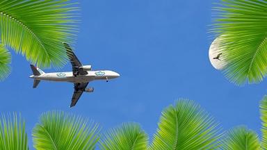 An aeroplane in the blue sky surrounded by palm leaves.