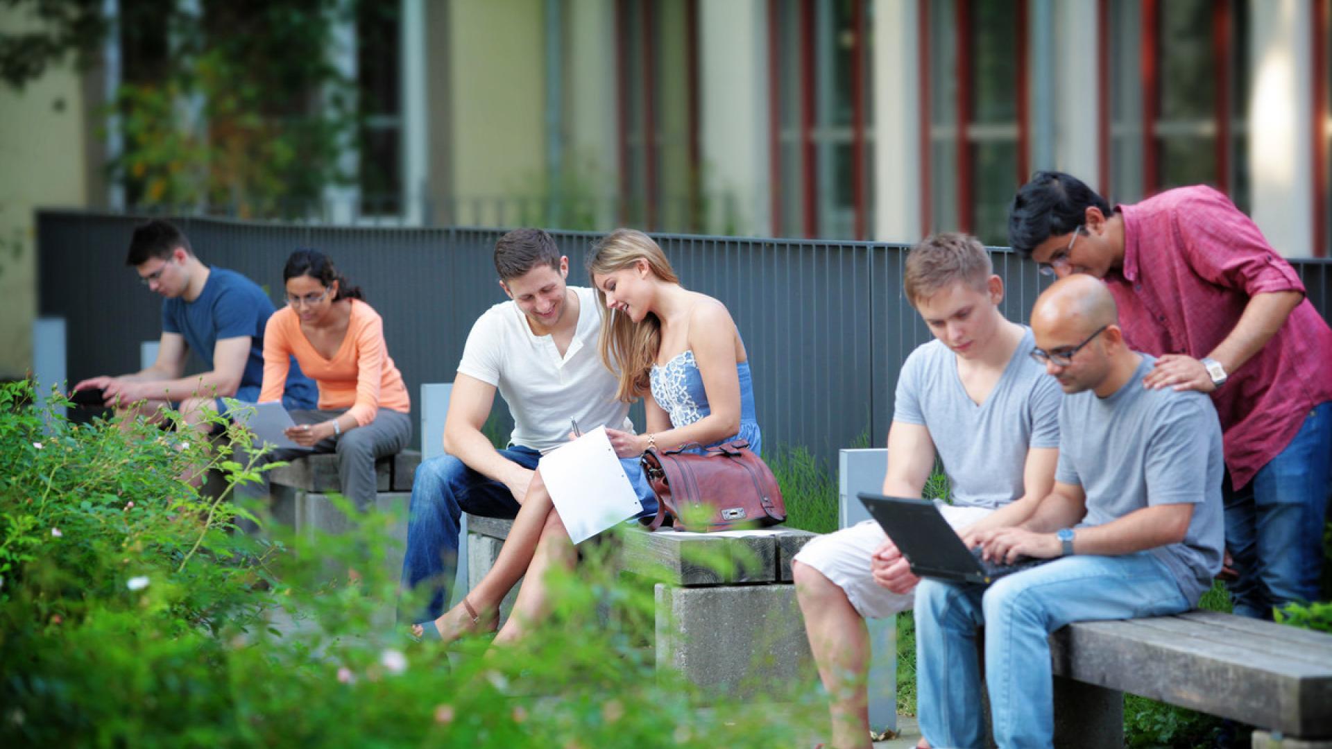  The photo shows seven students sitting and learning in small groups on benches outside.
