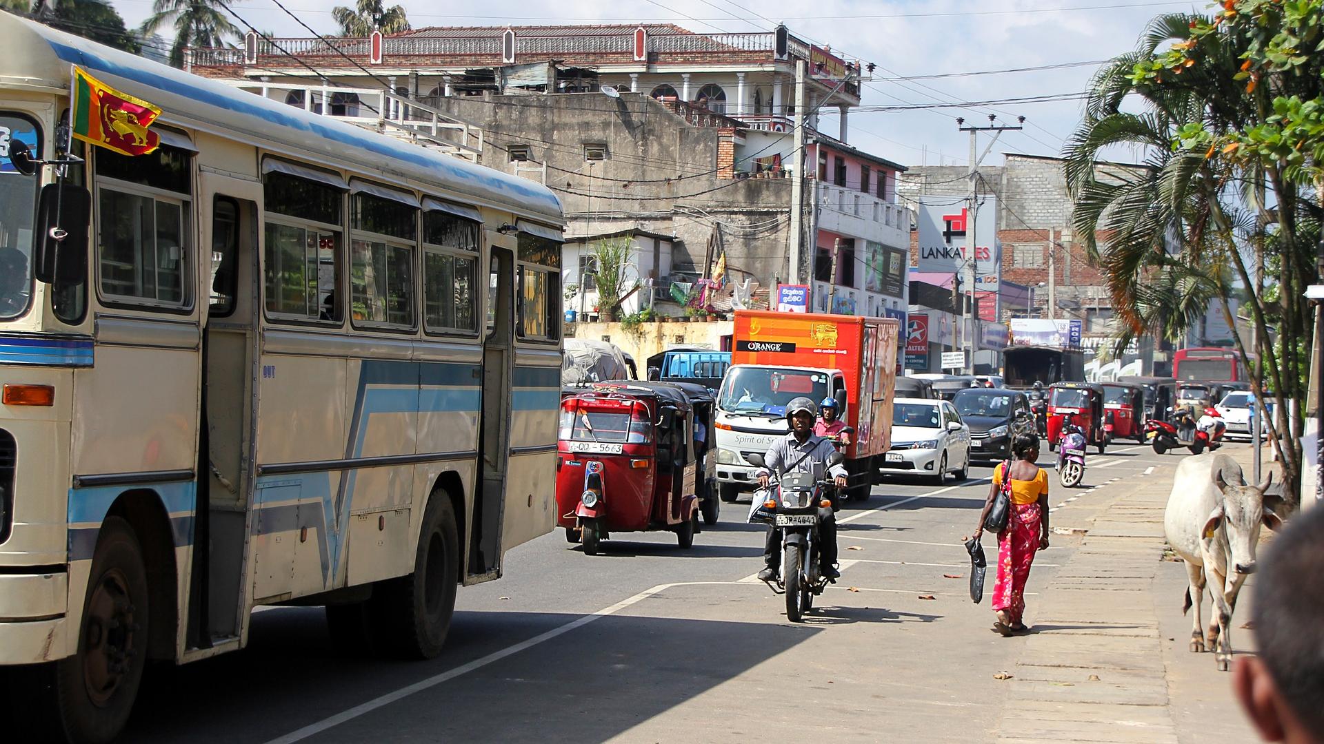 Eine volle Straße in Srki lanka mit einem Bus, Autos, ein Motorrad, eine Frau und Kuh am Straßenrand