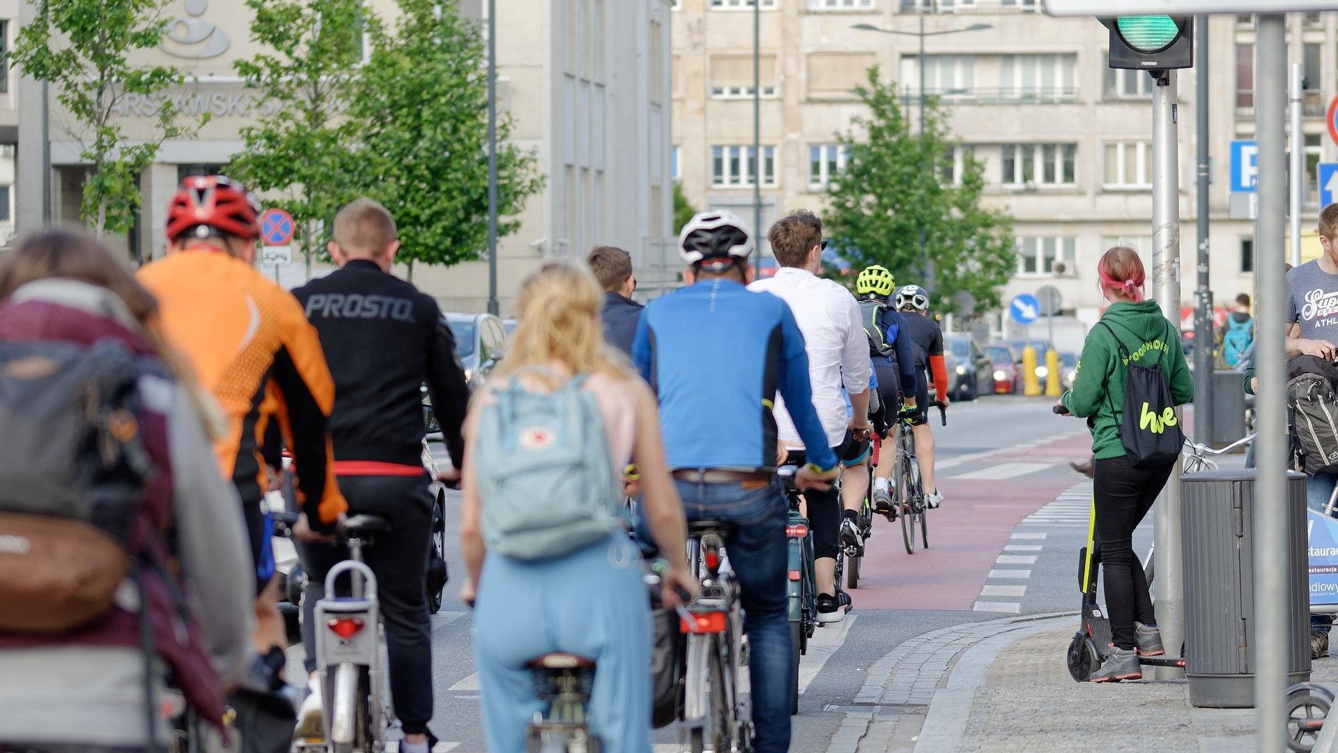A group of cyclists photographed from behind